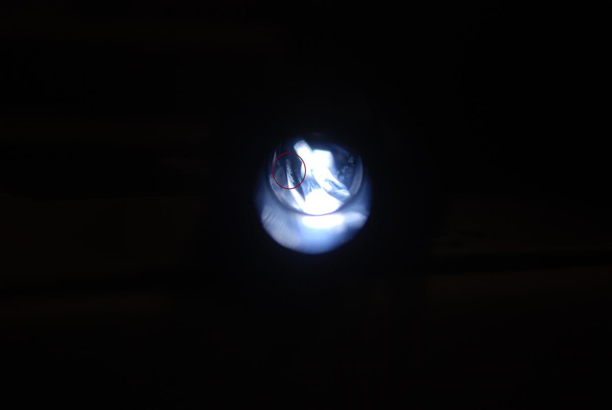 DSC_0006_circled.JPG